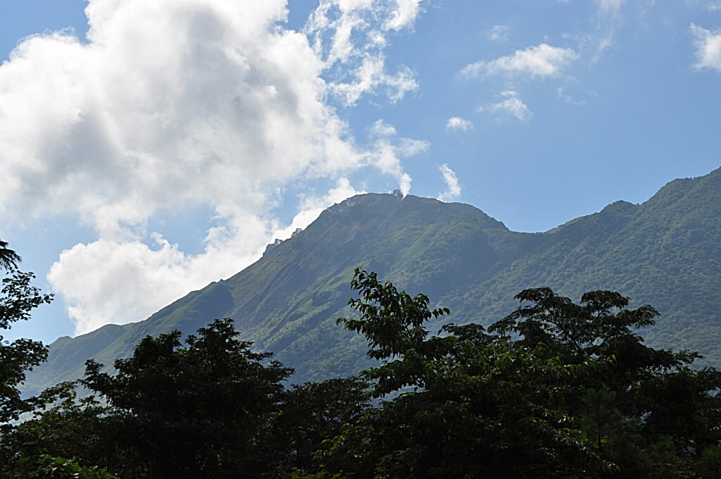 b0129533_15131338.jpg