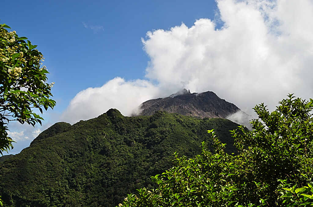 b0129533_15152751.jpg