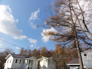 e0156837_13244831.jpg