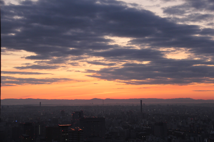 c0153740_7254084.jpg