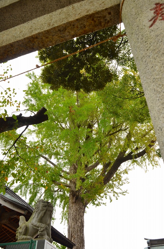 c0220040_239293.jpg