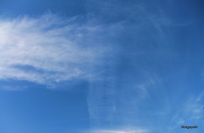 e0206242_12071.jpg