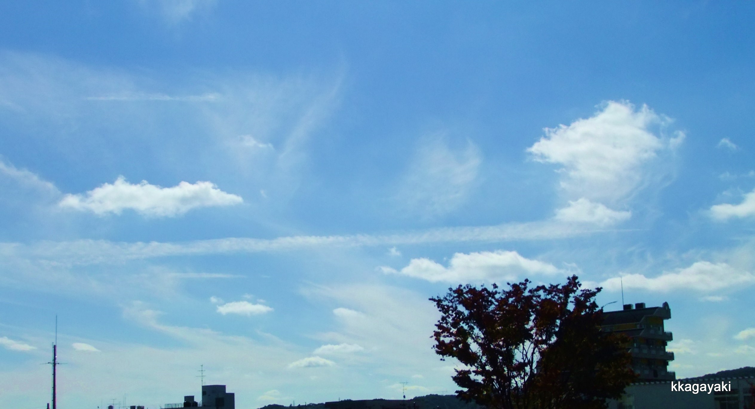 e0206242_1232382.jpg
