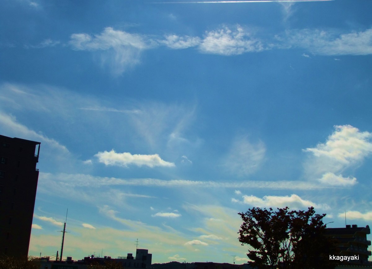 e0206242_1245844.jpg