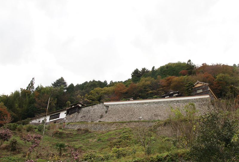 f0214649_84444.jpg