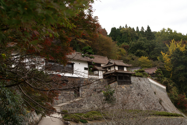 f0214649_8463893.jpg