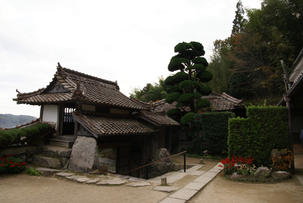 f0214649_847513.jpg