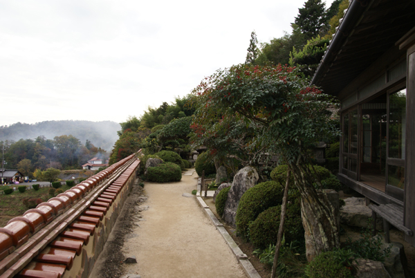 f0214649_8483145.jpg