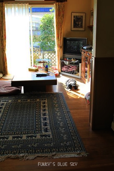 c0145250_1204280.jpg