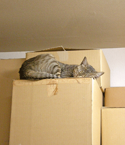a0001354_21484884.gif