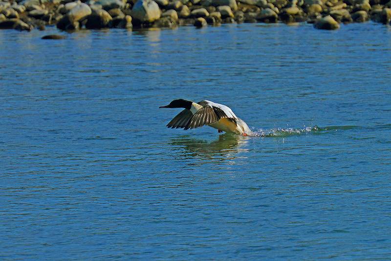 f0044056_995540.jpg