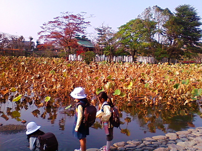 f0176458_22305592.jpg