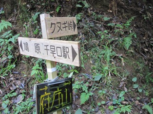 f0221258_841255.jpg