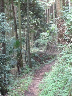 f0221258_8413074.jpg