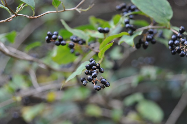 b0104861_1623930.jpg