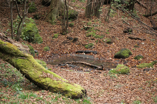 d0109568_19363953.jpg