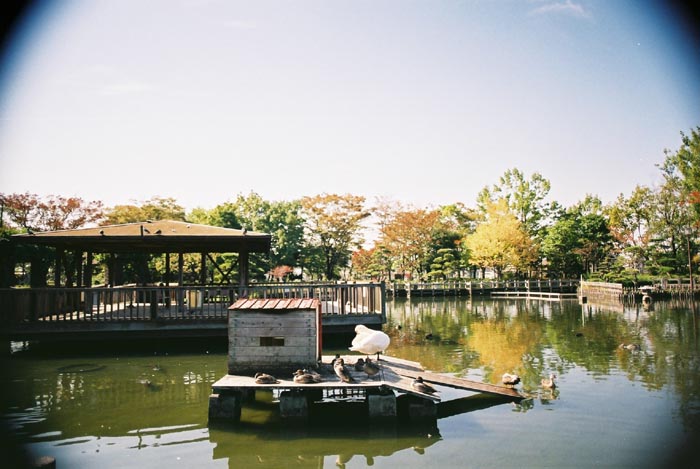 e0164571_12392262.jpg