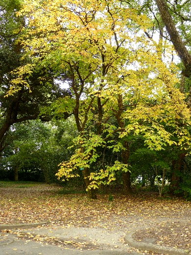 d0084473_19343530.jpg