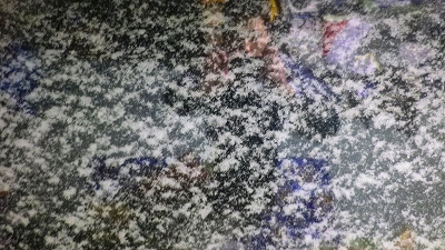 f0182173_914762.jpg