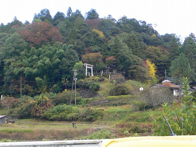 b0042882_20204563.jpg