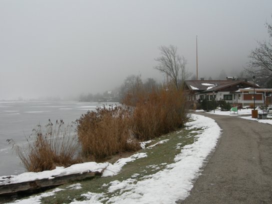 a0189883_17565014.jpg