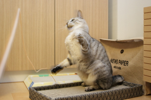 おりゃ~っ