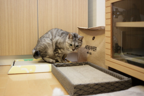 今度はそう置くんだ