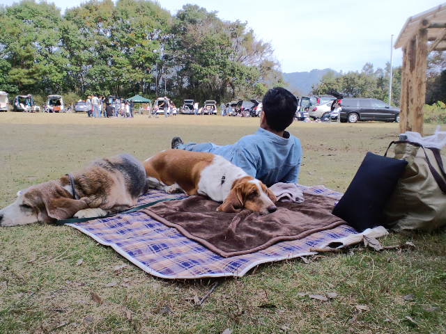 b0234697_1232555.jpg