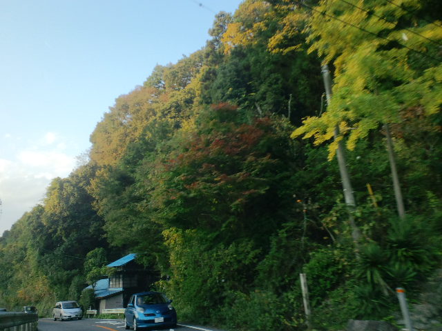 b0234697_1243222.jpg