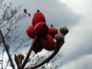 c0208099_23513741.jpg