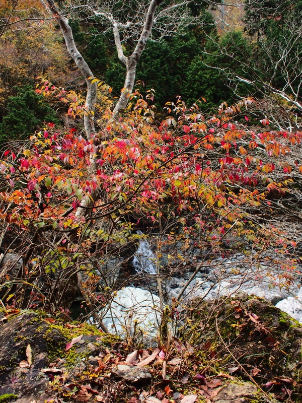 b0138101_21482718.jpg