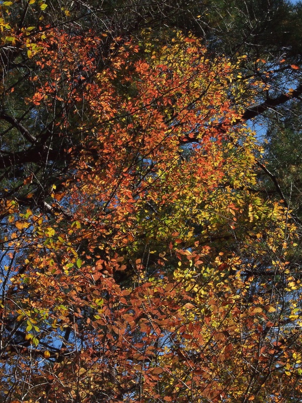 b0138101_21491188.jpg