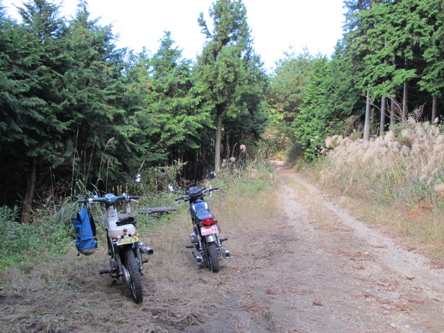 e0157602_1537385.jpg
