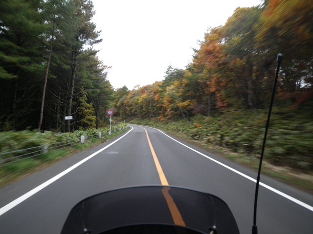 a0116205_00146.jpg