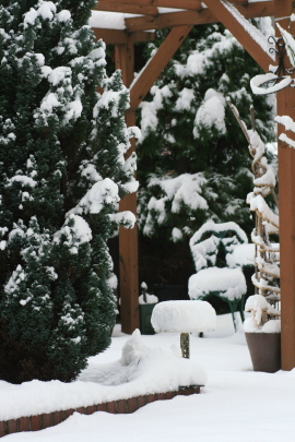 f0041606_1916236.jpg
