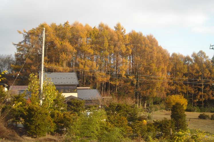 c0085508_19131520.jpg