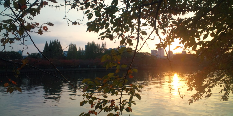 f0219810_11204056.jpg