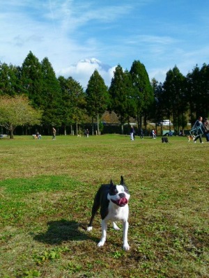 e0214712_1437181.jpg