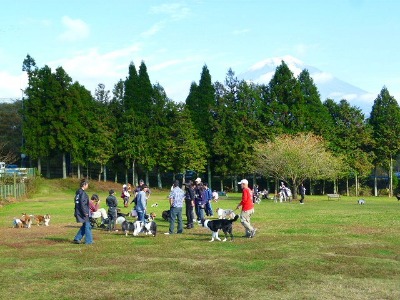 e0214712_1511690.jpg