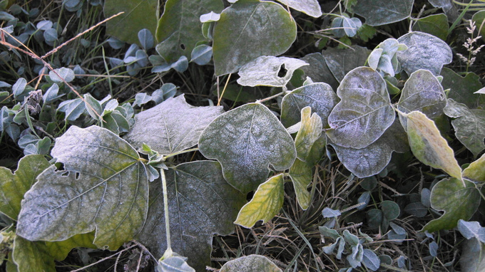 f0233414_2240437.jpg