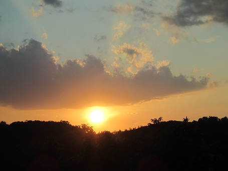 f0143521_2381322.jpg