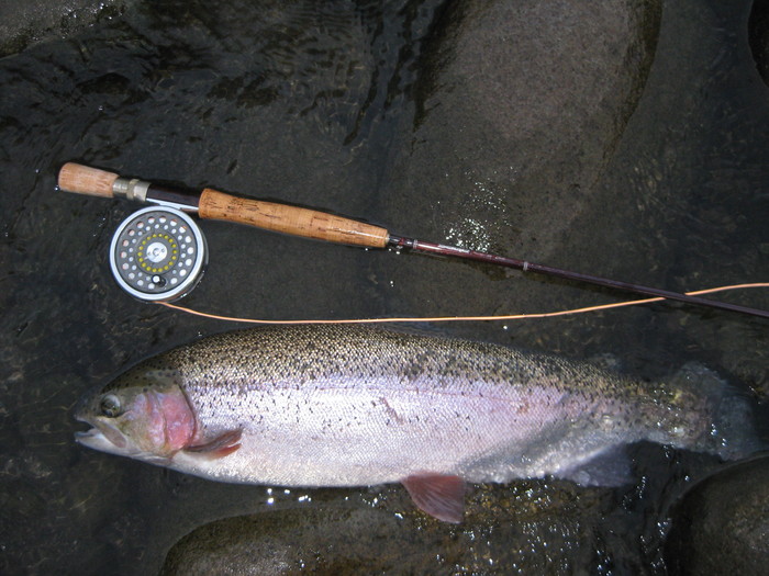 f0090131_12325053.jpg