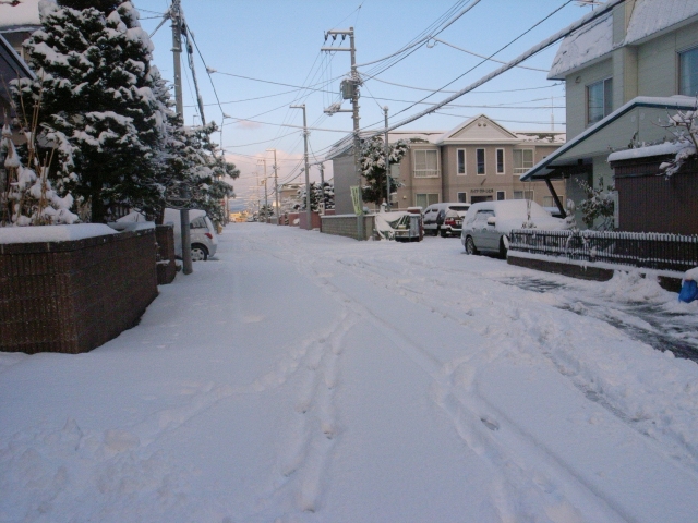 c0051132_2021432.jpg