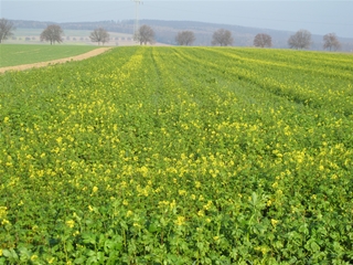 f0224632_2131274.jpg