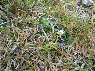 f0224632_2134044.jpg