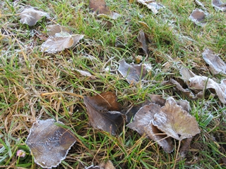 f0224632_214037.jpg
