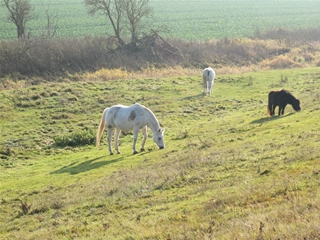 f0224632_2145094.jpg
