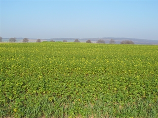 f0224632_216419.jpg