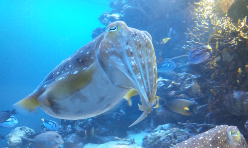 b0019333_135627.jpg