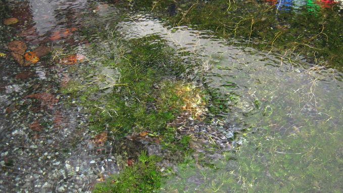 e0255638_11532854.jpg